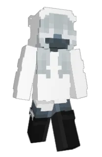 Front of liljattelgang's skin