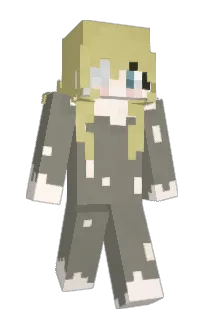 Front of DokiDokiWakuWaku's skin