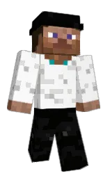 Minecraft skin — Classic model