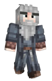 Front of Flipper_Gaming's skin