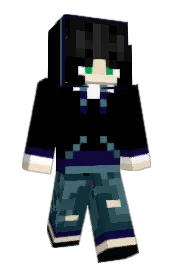 Skin preview