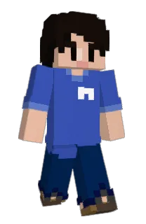 Front of NICENJOY's skin