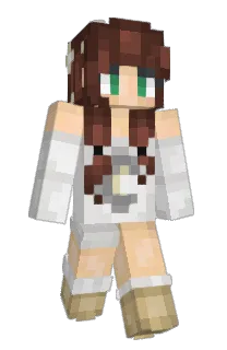 aicha888's Minecraft skin