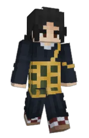 Skin preview