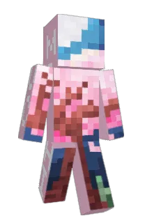 tdhhe's Minecraft skin