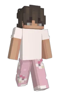 Front of zyless's skin