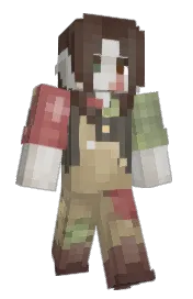 Skin preview