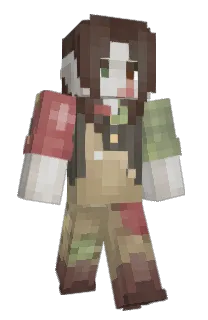 Front of Minecraft skin