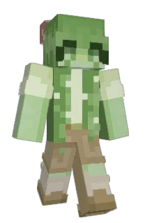 Front of ShroomMC's skin