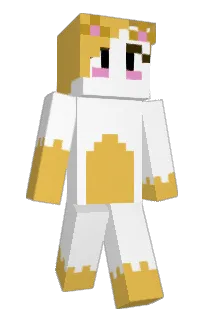 bittse's Minecraft skin