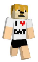 Detto's Minecraft skin wearing the Twisted cape