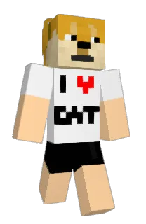 Front of Detto's skin