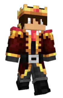 Front of iDSG's skin