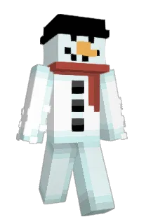 Front of TeemRi's skin