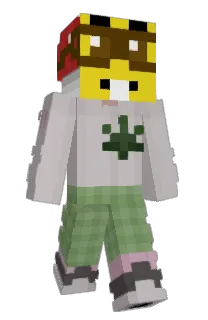 Front of exodementia's skin