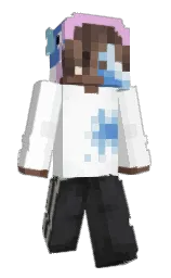 Slim Minecraft skin