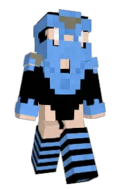 Skin preview