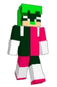 skidwithag