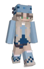 Skin preview