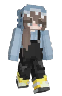 Front of Picresty's skin