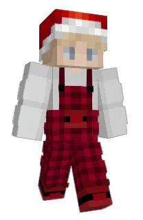 Front of nutsDark's skin