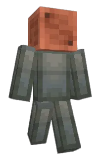 Front of NatureGamerTTV's skin