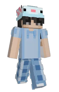 Front of Ludotrax's skin