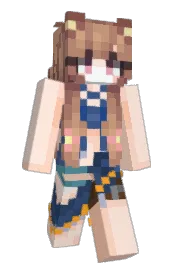 Skin preview