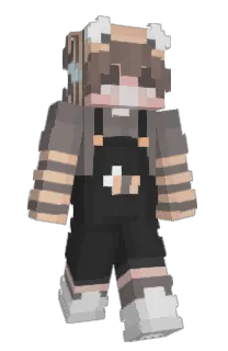 Front of T3too's skin