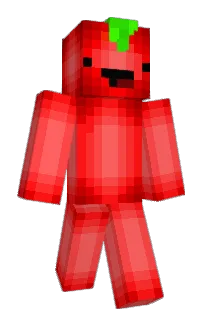 Front of AnAverageTermNon's skin