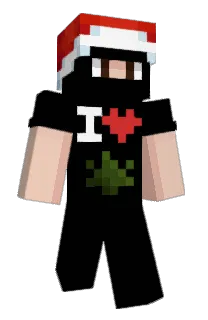 Front of Fundaca0's skin