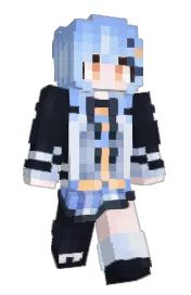 Skin preview