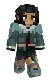 Skin preview