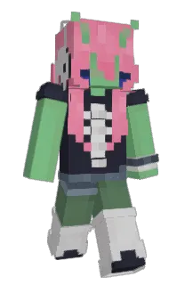 Front of PET_ROCKX3's skin