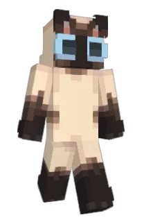 Asoor's Minecraft skin