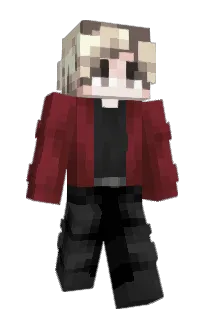 Front of IRVQ's skin