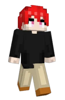 zetton0301's Minecraft skin