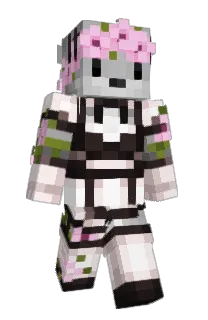 Front of Diligord's skin