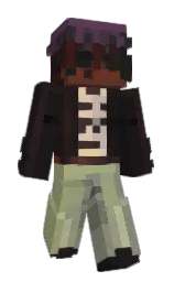 cod gray and cocoa brown Minecraft skin — Slim model — first worn by cyberwqve