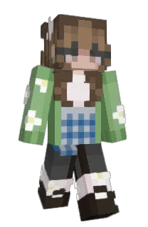 Front of regularvision's skin
