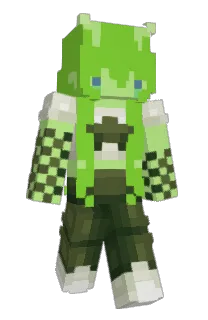 Front of spirilee's skin