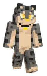 Classic Minecraft skin