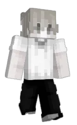 Minecraft skin — Classic model