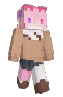Front of Autopink's skin