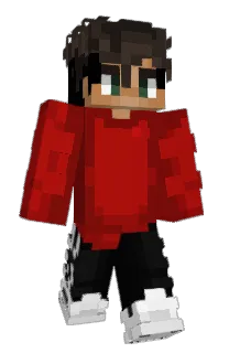 PayWithVisa's Minecraft skin