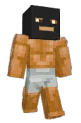 BdNerf06
