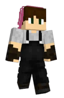 Front of Gesco's skin
