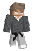 SebTint