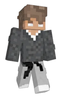 SebTint's Minecraft skin