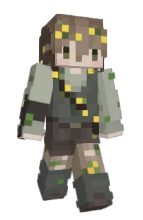 Front of toad_stones's skin